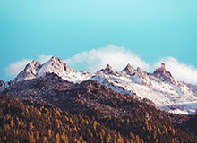 开云体育下载APP-英超官方：哈里-威尔逊对阵水晶宫世界波当选英超12月最佳进球