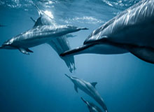 开云体育下载-U23国足目标瞄准半决赛